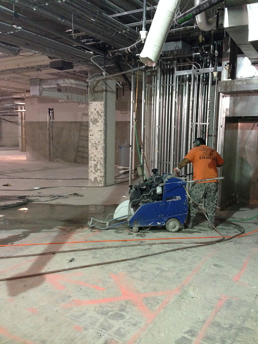 Valley Cutting Project Gallery 21
